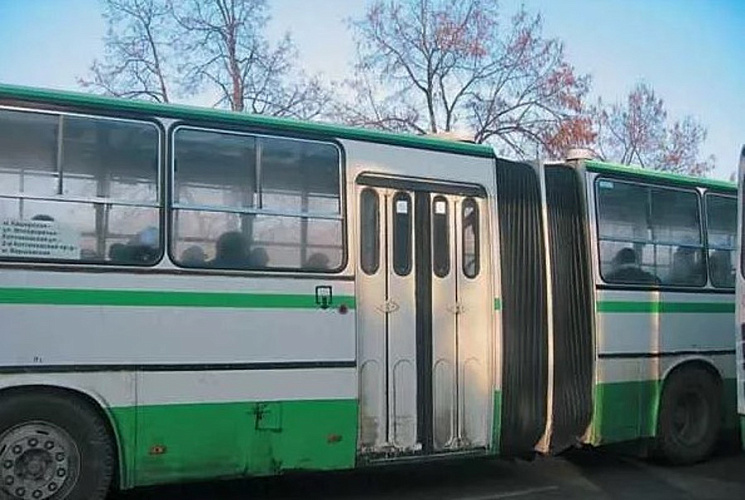 Фото: автобус-гармошка \\ фото из публикаций 1rnd.ru