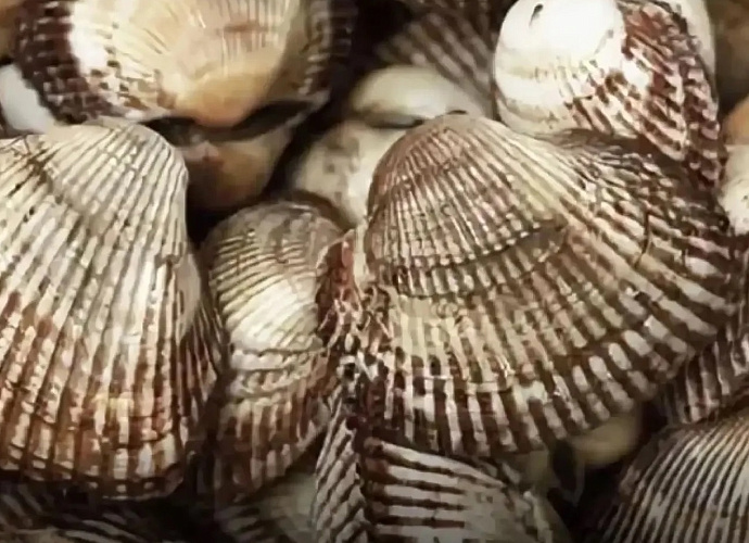 Фото: Минсельхозпрод Ростовской области