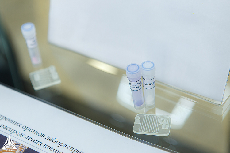 Фото: Ученые ЮФУ предложили быстрый способ получения нанокомпозитов, которые можно использовать в борьбе с онкозаболеваниями // фото ЮФУ